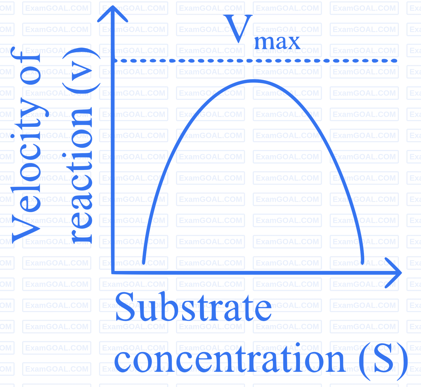 NEET 2024 (Re-Examination) Biology - Biomolecules Question 7 English Option 3