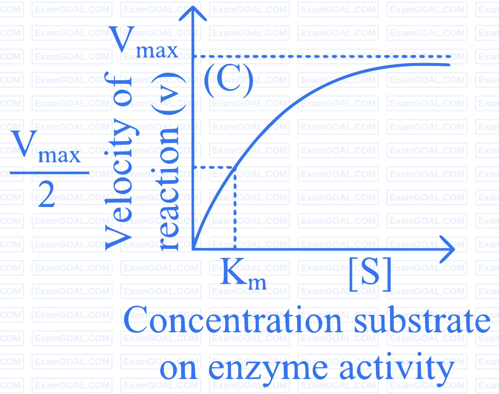 NEET 2024 (Re-Examination) Biology - Biomolecules Question 7 English Explanation