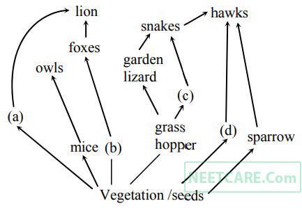 AIPMT 2012 Mains Biology - Ecosystem Question 52 English