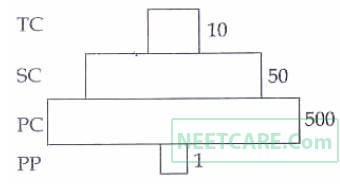 AIPMT 2012 Prelims Biology - Ecosystem Question 57 English