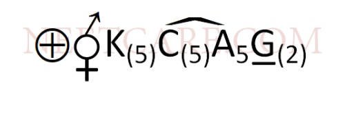 AIPMT 2015 Cancelled Paper Biology - Morphology of Flowering Plants Question 37 English
