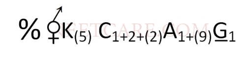 AIPMT 2010 Mains Biology - Morphology of Flowering Plants Question 35 English Option 4