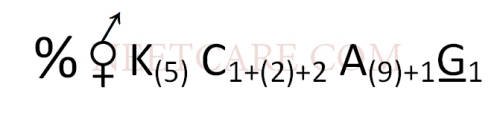 AIPMT 2010 Mains Biology - Morphology of Flowering Plants Question 35 English Option 1