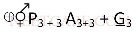 AIPMT 2010 Mains Biology - Morphology of Flowering Plants Question 34 English 1