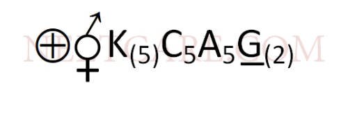 AIPMT 2011 Prelims Biology - Morphology of Flowering Plants Question 36 English Option 1