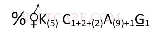 AIPMT 2010 Mains Biology - Morphology of Flowering Plants Question 35 English Option 3