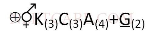 AIPMT 2010 Mains Biology - Morphology of Flowering Plants Question 34 English 2