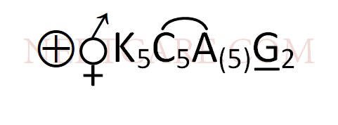 AIPMT 2011 Prelims Biology - Morphology of Flowering Plants Question 36 English Option 4