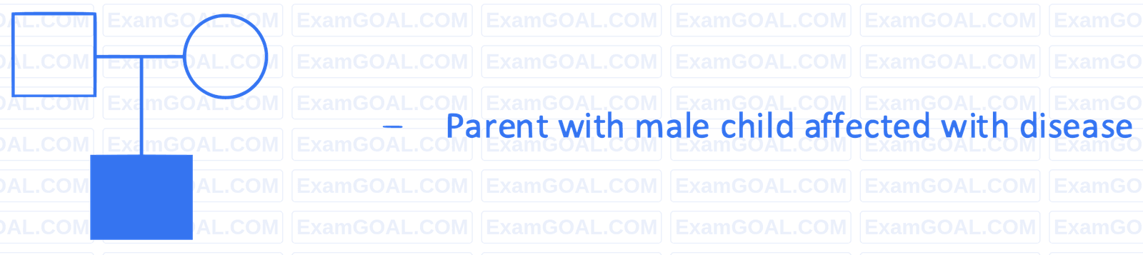 NEET 2022 Phase 2 Biology - Principles of Inheritance and Variation Question 30 English Option 1