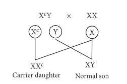 NEET 2015 Biology - Principles of Inheritance and Variation Question 153 English Explanation 1