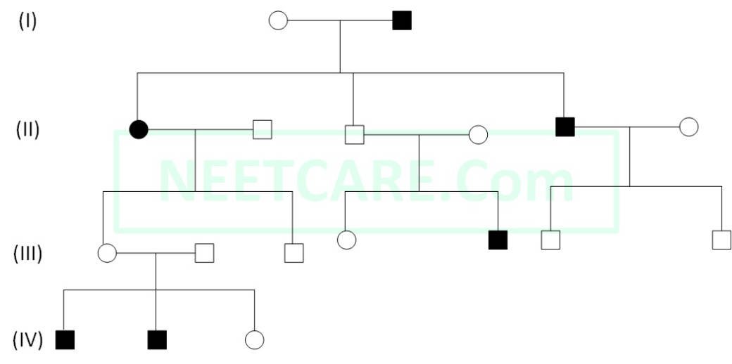 NEET 2015 Biology - Principles of Inheritance and Variation Question 151 English