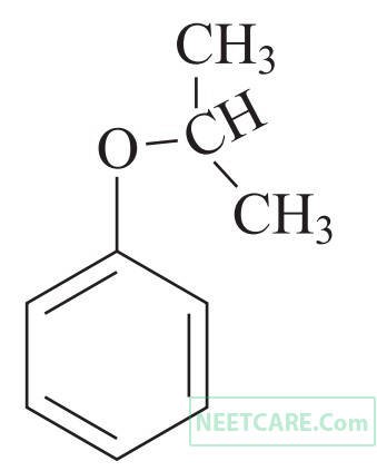 NEET 2019 Chemistry - Alcohol, Phenols and Ethers Question 18 English Option 1