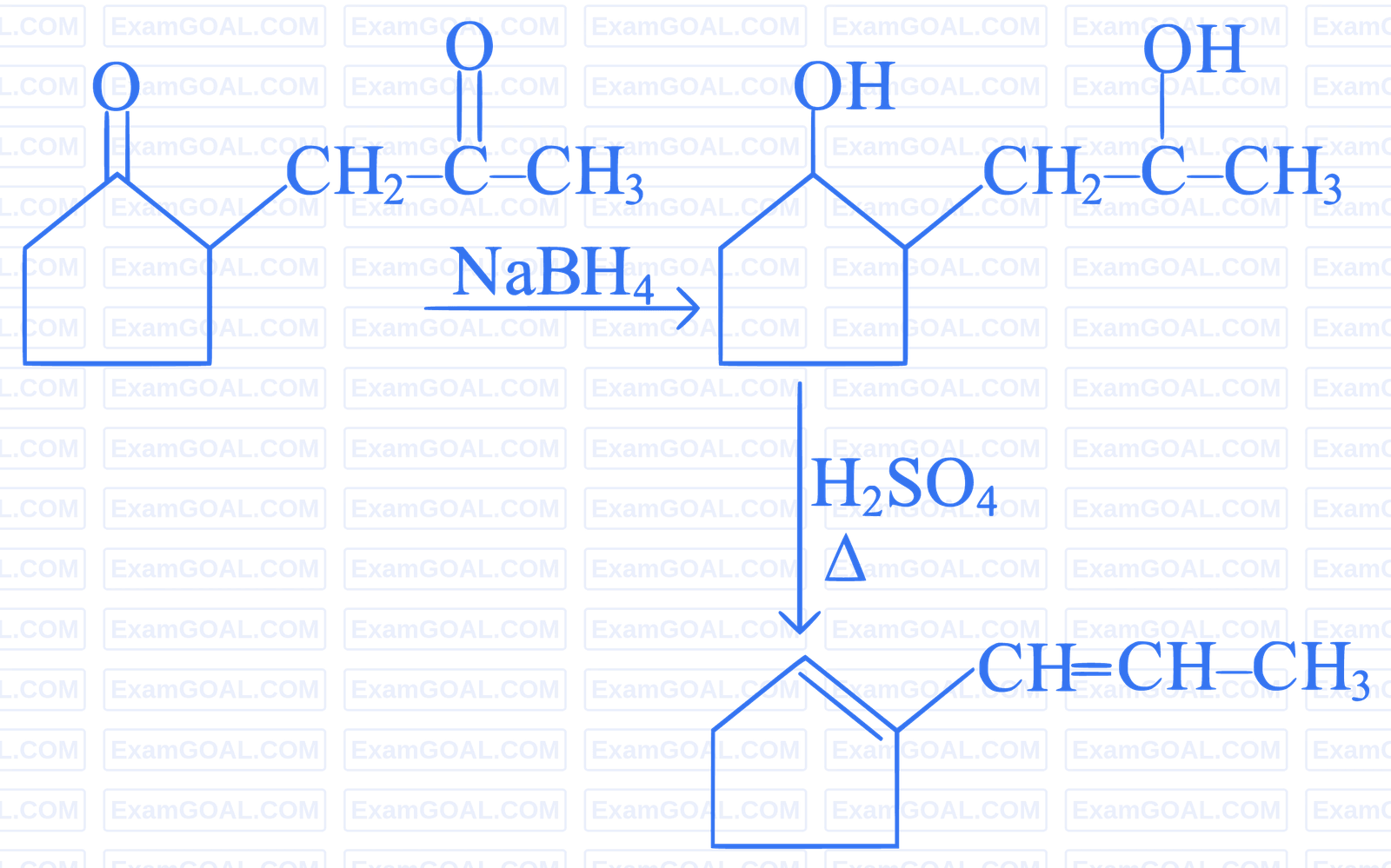 NEET 2023 Manipur Chemistry - Aldehydes, Ketones and Carboxylic Acids Question 10 English Explanation