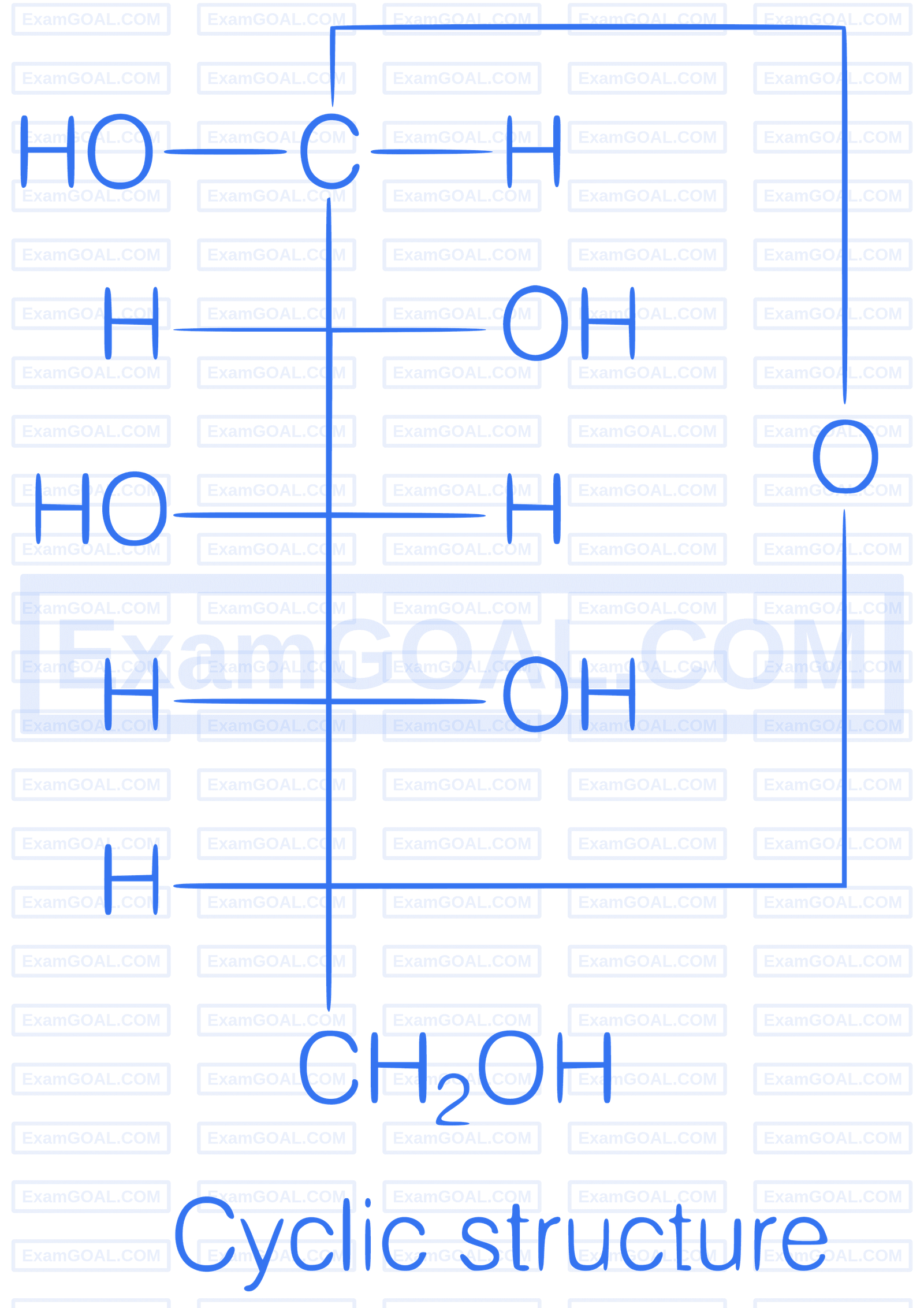 AIIMS 2019 Chemistry - Biomolecules Question 2 English Explanation