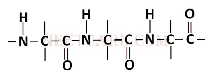 AIPMT 2004 Chemistry - Biomolecules Question 17 English Option 3