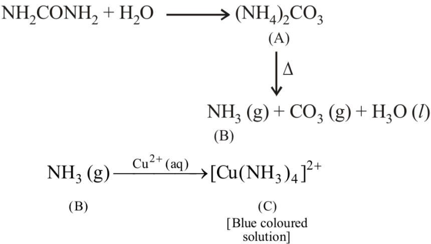 NEET 2020 Phase 1 Chemistry - Coordination Compounds Question 22 English Explanation