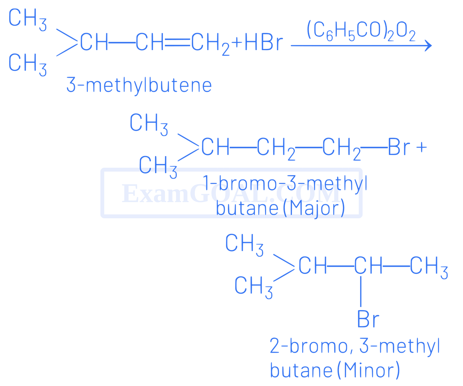 NEET 2021 Chemistry - Haloalkanes and Haloarenes Question 12 English Explanation