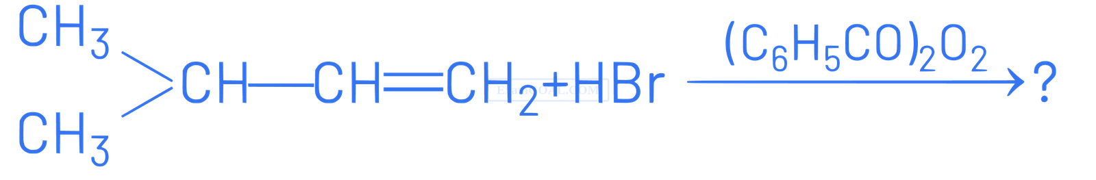 NEET 2021 Chemistry - Haloalkanes and Haloarenes Question 12 English