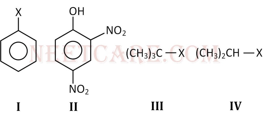 AIPMT 2010 Prelims Chemistry - Haloalkanes and Haloarenes Question 21 English