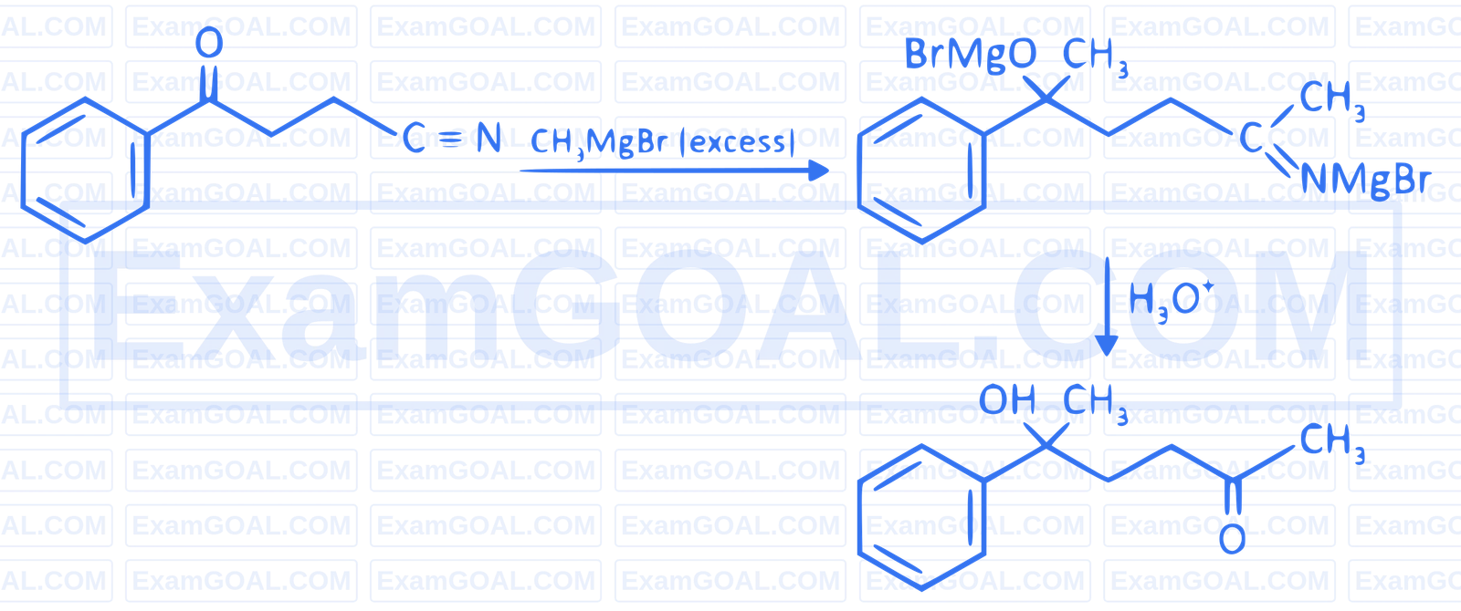 NEET 2025 Chemistry - Haloalkanes and Haloarenes Question 1 English Explanation