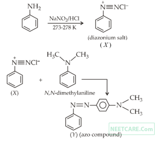 AIPMT 2010 Prelims Chemistry - Organic Compounds Containing Nitrogen Question 24 English Explanation