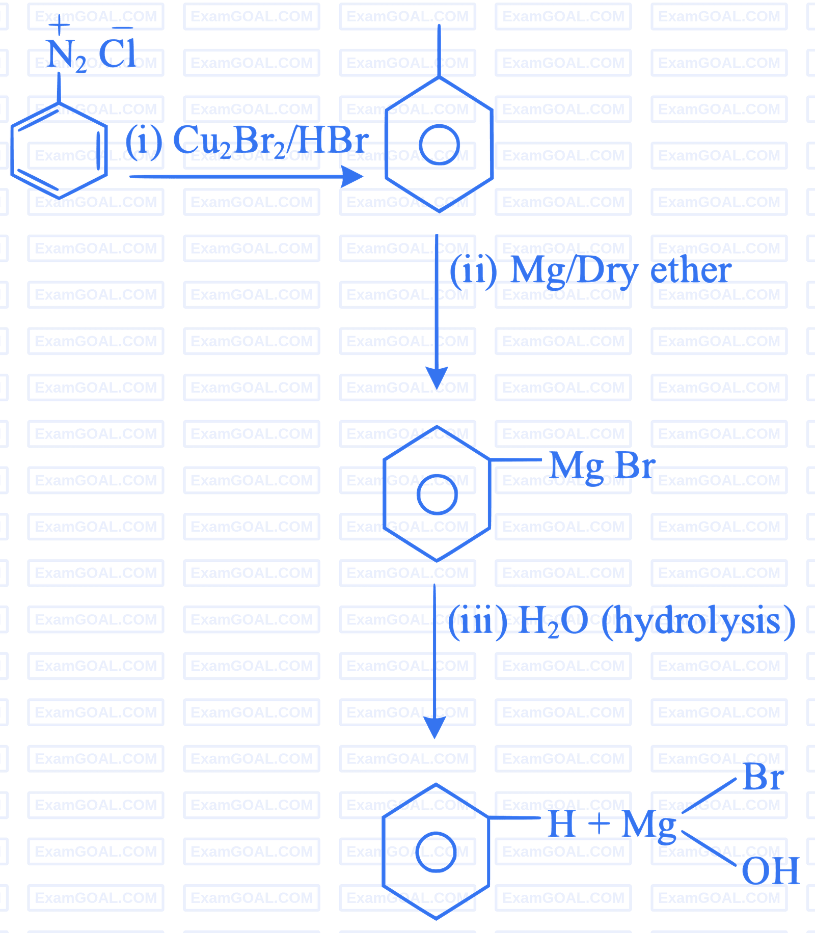 NEET 2023 Chemistry - Organic Compounds Containing Nitrogen Question 6 English Explanation