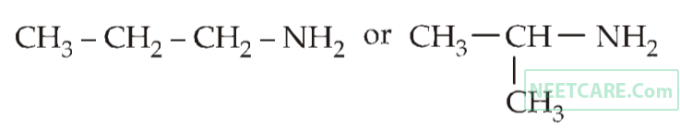 AIPMT 2012 Mains Chemistry - Organic Compounds Containing Nitrogen Question 33 English Explanation 1