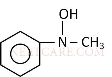 AIPMT 2009 Chemistry - Organic Compounds Containing Nitrogen Question 23 English Option 3