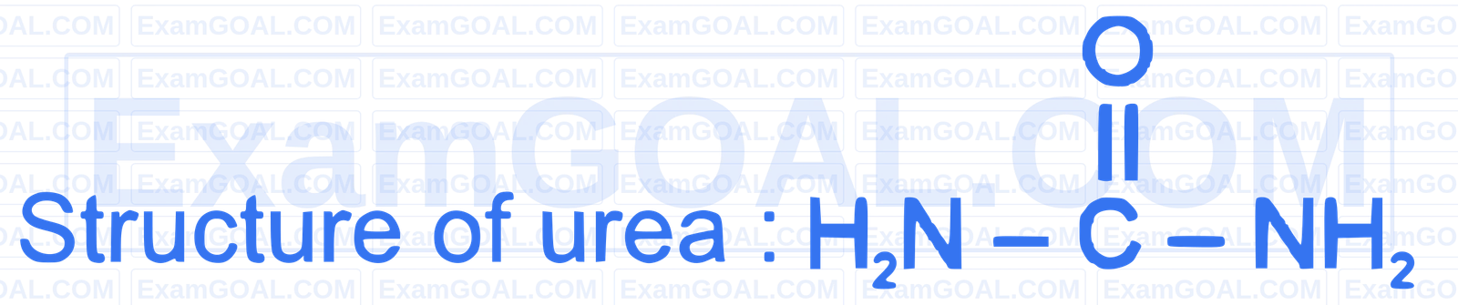 NEET 2026 Chemistry - Some Basic Concepts of Chemistry Question 1 English Explanation