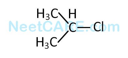 AIPMT 2015 Cancelled Paper Chemistry - Some Basic Concepts of Organic Chemistry Question 90 English Option 3