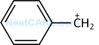 NEET 2013 (Karnataka) Chemistry - Some Basic Concepts of Organic Chemistry Question 83 English