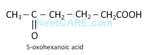 AIPMT 2012 Prelims Chemistry - Some Basic Concepts of Organic Chemistry Question 81 English Option 4
