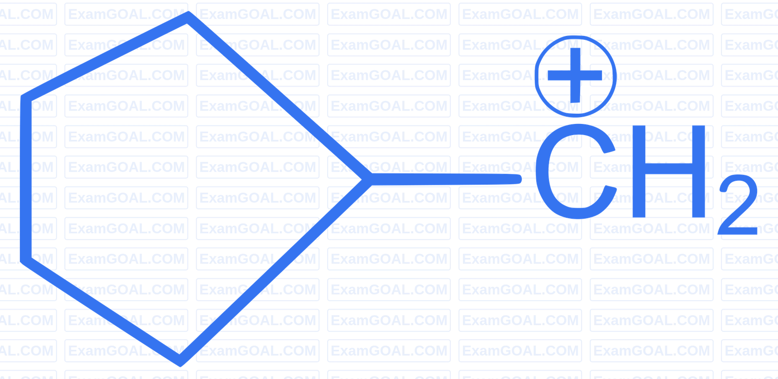 NEET 2024 Chemistry - Some Basic Concepts of Organic Chemistry Question 12 English Option 3