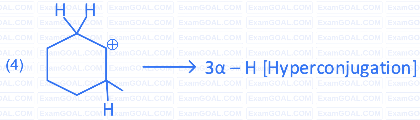 NEET 2022 Phase 2 Chemistry - Some Basic Concepts of Organic Chemistry Question 24 English Explanation 4
