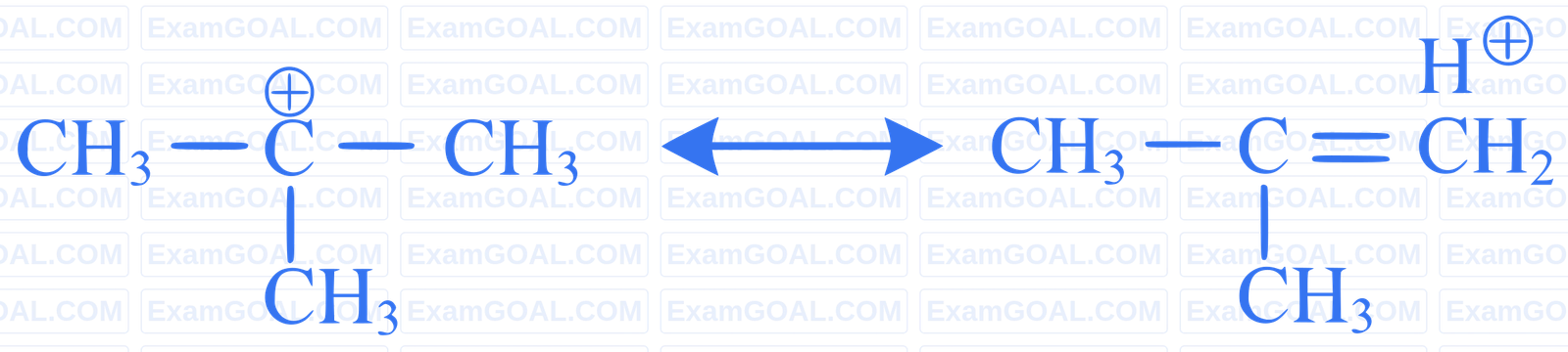 NEET 2024 (Re-Examination) Chemistry - Some Basic Concepts of Organic Chemistry Question 7 English Explanation