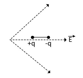 NEET 2021 Physics - Electrostatics Question 17 English