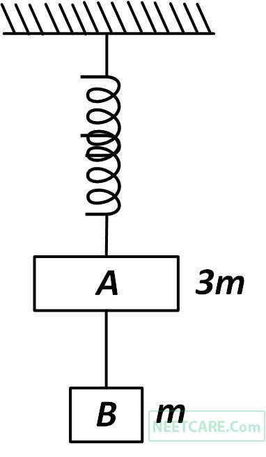 NEET 2017 Physics - Laws of Motion Question 26 English