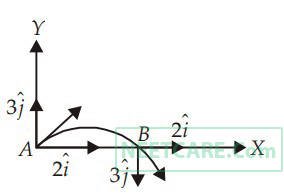 NEET 2013 Physics - Motion in a Plane Question 42 English Explanation