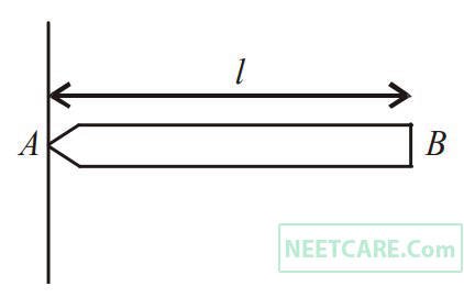 AIPMT 2007 Physics - Rotational Motion Question 46 English