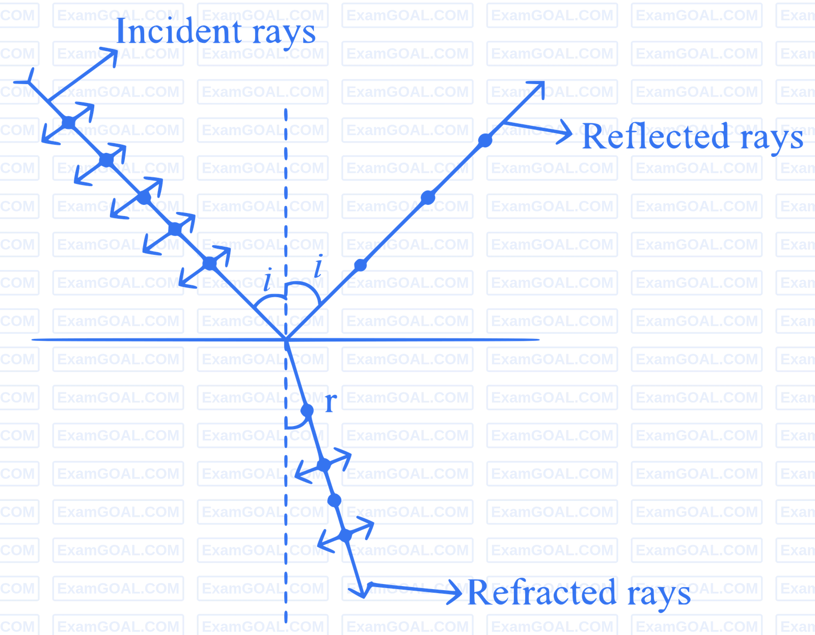 NEET 2024 Physics - Wave Optics Question 6 English Explanation